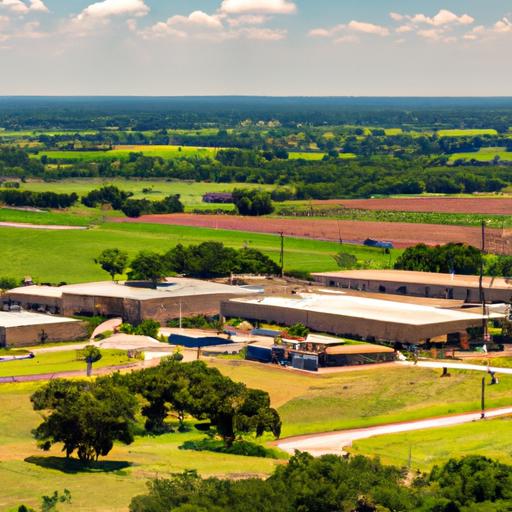 Navasota Valley Electric Coop